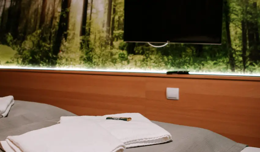 Park Hotel Sst Nyregyhza - Pnksd