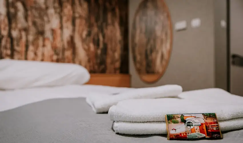 Park Hotel Sst Nyregyhza - Pnksd