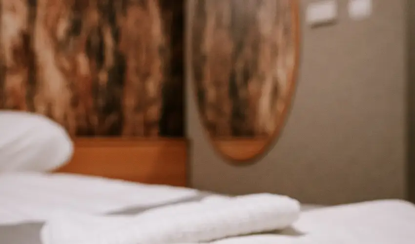 Park Hotel Sst Nyregyhza - Pnksd