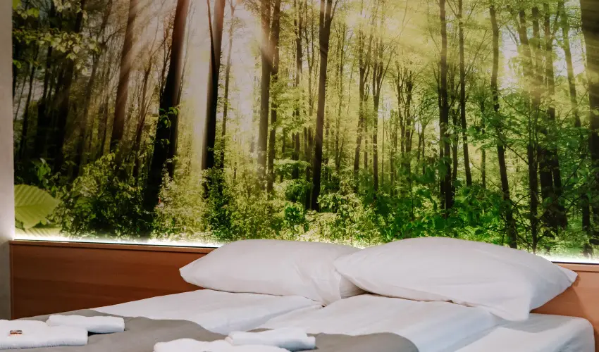 Park Hotel Sst Nyregyhza - Pnksd