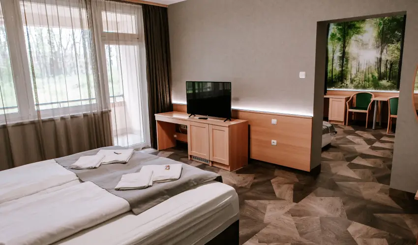 Park Hotel Sst Nyregyhza - Pnksd