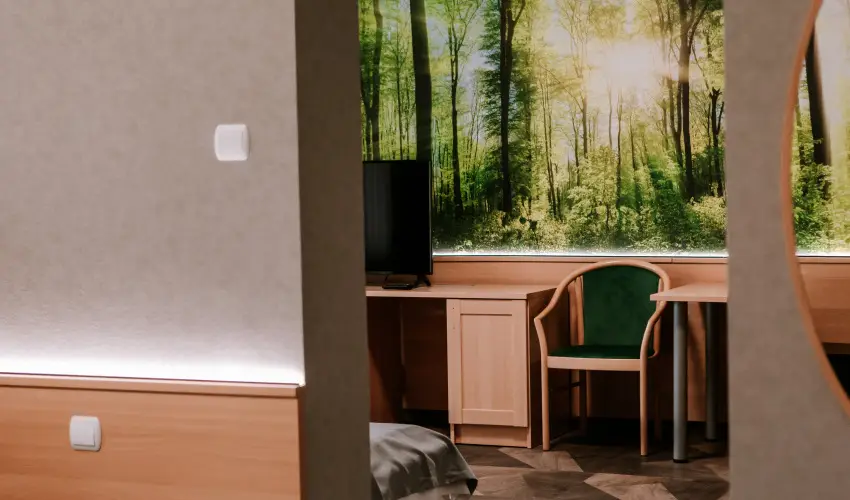 Park Hotel Sst Nyregyhza - Pnksd