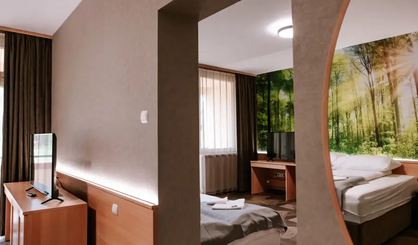 Park Hotel Sst Nyregyhza - Pnksd