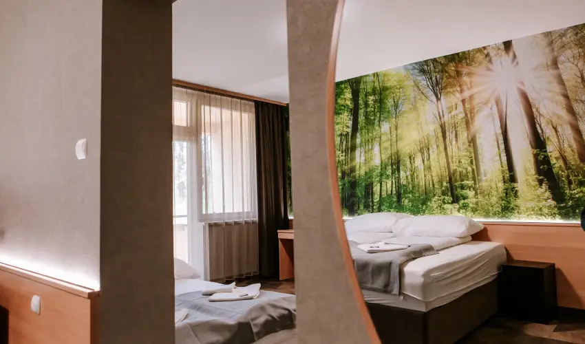 Park Hotel Sst Nyregyhza - Pnksd