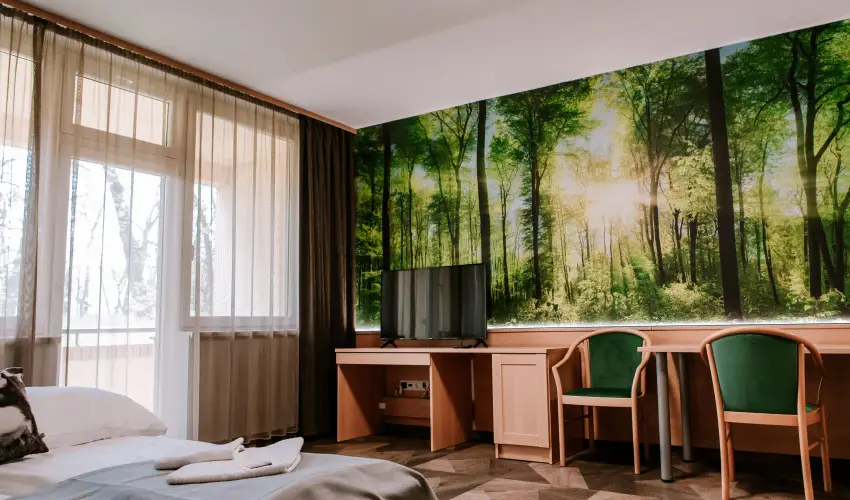 Park Hotel Sst Nyregyhza - Pnksd