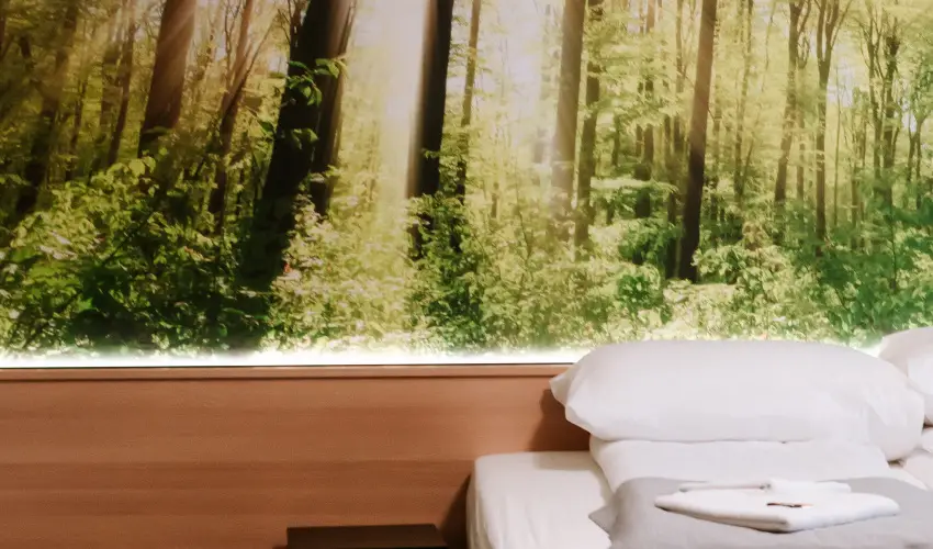 Park Hotel Sst Nyregyhza - Pnksd