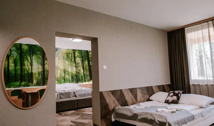 Park Hotel Sst Nyregyhza - Pnksd