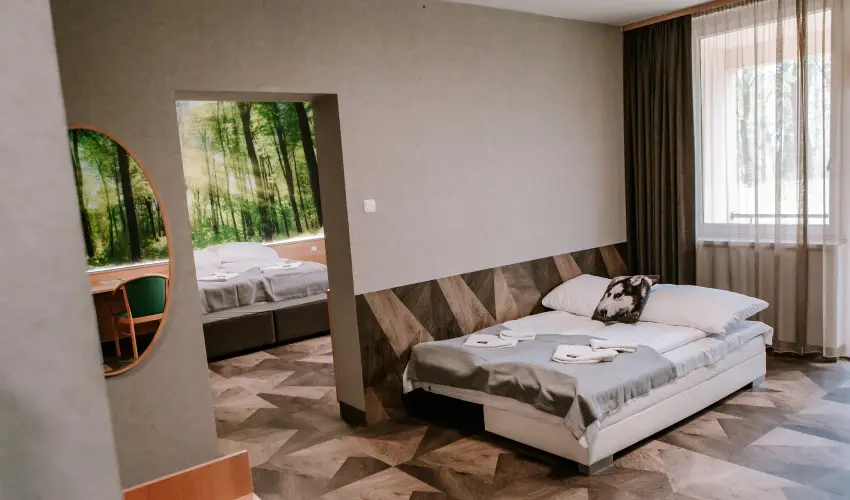 Park Hotel Sst Nyregyhza - Pnksd