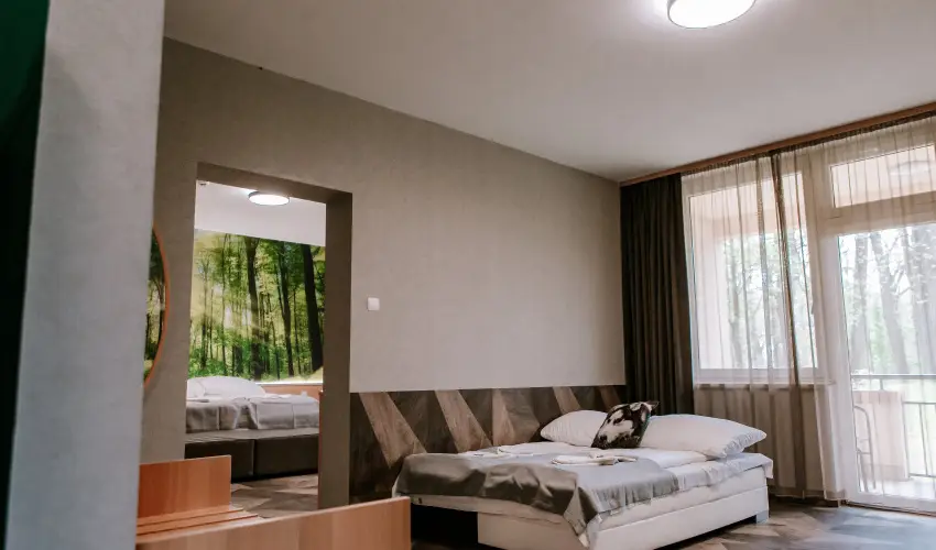 Park Hotel Sst Nyregyhza - Pnksd