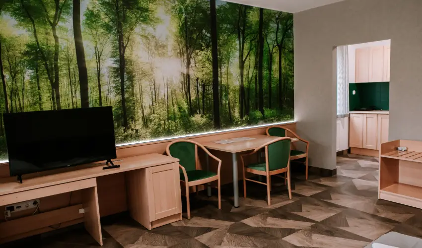 Park Hotel Sst Nyregyhza - Pnksd