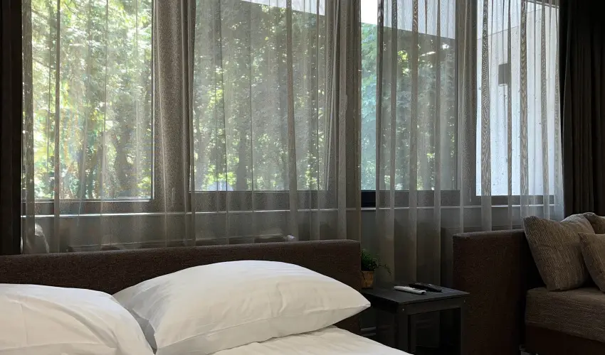 Park Hotel Sst Nyregyhza - Pnksd