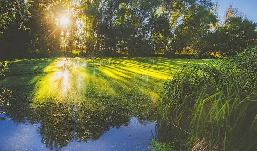 Park Inn by Radisson Zalakaros Resort & Spa Zalakaros - Pnksdi hosszhtvge (min. 3 j)