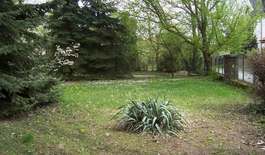 Parti Stny Vendghz Balatonkenese - Pnksd 