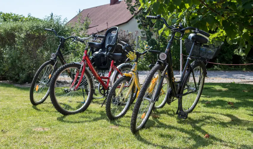 Pelso Panzi Balatonmriafrd - Pnksd (min. 3 j)