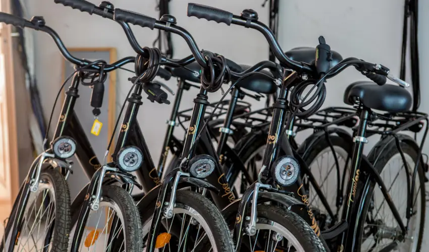 Pelso Panzi Balatonmriafrd - Pnksd (min. 3 j)