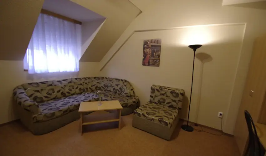 Hotel Vad�szk�rt Sz�kesfeh�rv�r - P�nk�sd