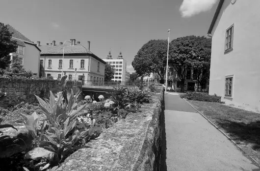 Pitypang Apartman - Pnksd (min. 2 j)