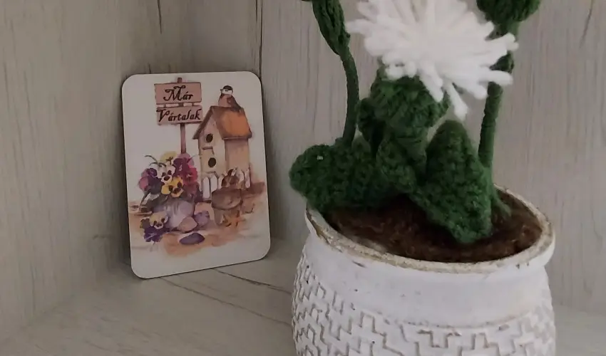 Pitypang Apartman Eger - Pnksd (min. 2 j)