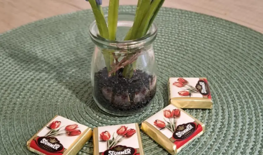 Pitypang Apartman Eger - Pnksd (min. 2 j)