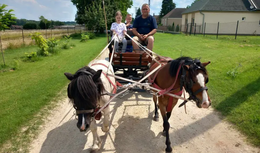 Pni Kuck Vendghz s Minifarm  Hosszvlgy - Pnksd