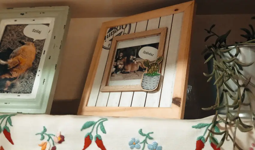 Pni Kuck Vendghz s Minifarm  Hosszvlgy - Pnksd