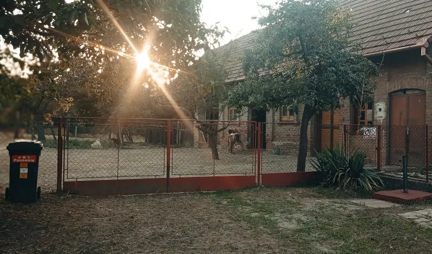 Pni Kuck Vendghz s Minifarm  Hosszvlgy - Pnksd