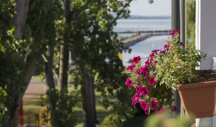 Port tterem & Panzi Balatonmriafrd - Pnksd (min. 3 j)