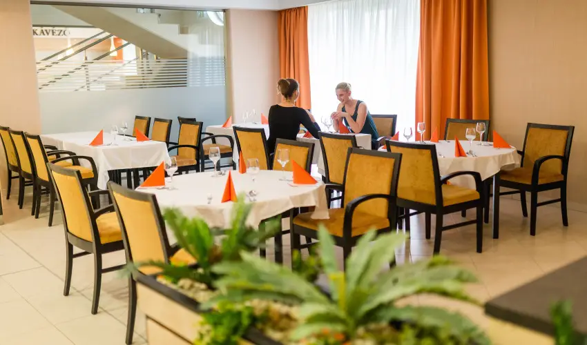 Harknyi Psoriasis Centrum Harkny - Pnksd (min. 2 j)