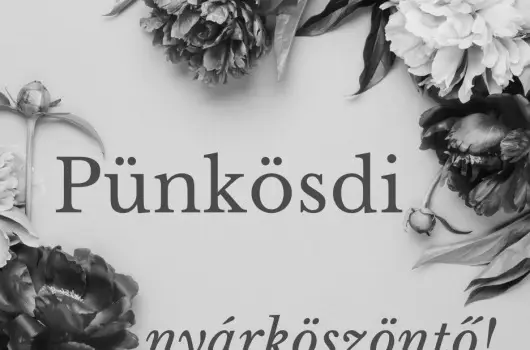 PSZ Hotel Beach Fldvr - Pnksd