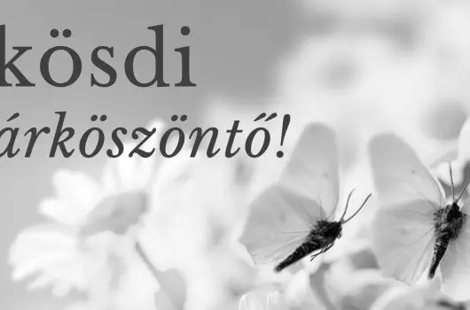 PSZ Hotel Beach F�ldv�r - P�nk�sd