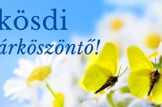 PSZ Hotel Beach F�ldv�r - P�nk�sd (min. 2 �j)