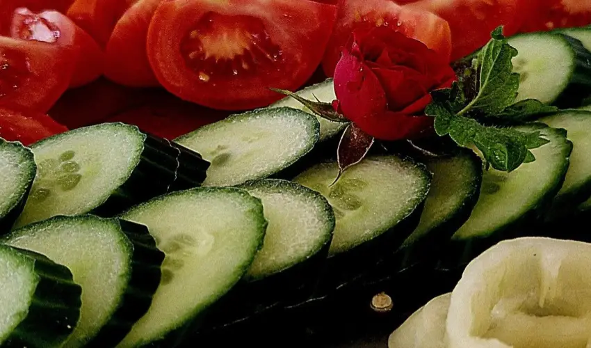 PSZ Hotel Beach Fldvr Balatonfldvr - Pnksd