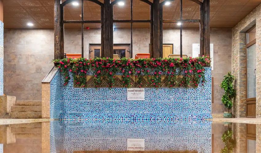 Puchner Kast�lysz�ll� Bikal - P�nk�sd (min. 3 �j)