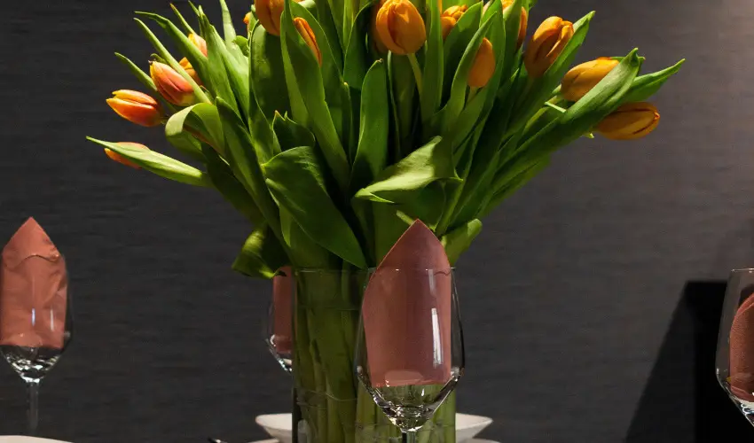 R31 Residence Srvr - Pnksd (min. 2 j)