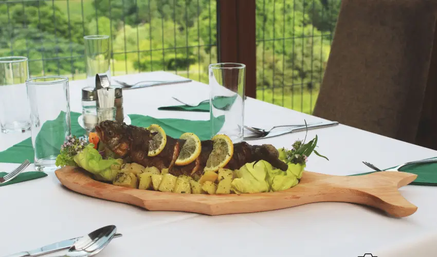 Rcz Tanya Orf - Pnksd