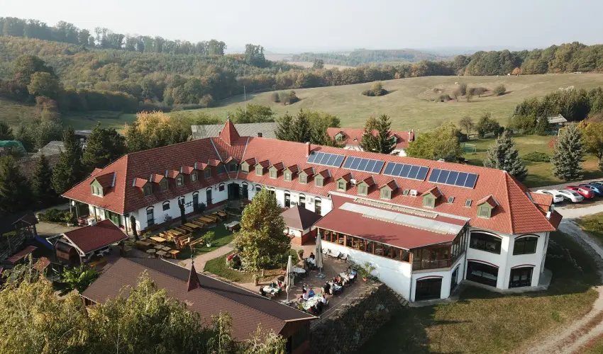 Rcz Tanya Orf - Pnksd