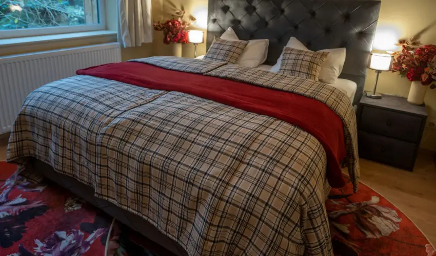 reBORONA Vendghz rsg riszentpter - Pnksd (min. 2 j)