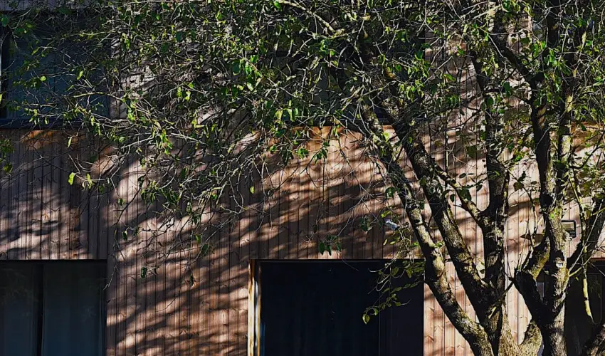 reBORONA Vendghz rsg riszentpter - Pnksd (min. 2 j)