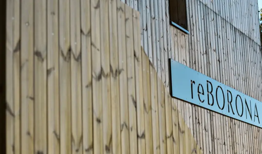 reBORONA Vendghz rsg riszentpter - Pnksd (min. 2 j)