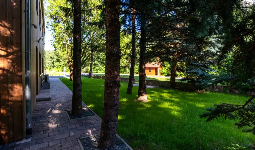 reBORONA Vendghz rsg riszentpter - Pnksd (min. 2 j)