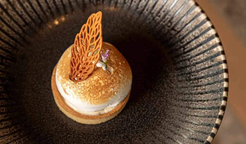 REED Luxury Hotel & Bistro Sifok - Pnksd