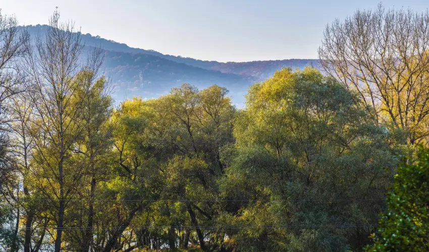 Royal Club Hotel Visegrd - Pnksd - teljes elrefizetssel (min. 2 j)