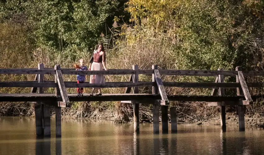 Sasr�ti Vad�szkast�ly Almamell�k - P�nk�sd