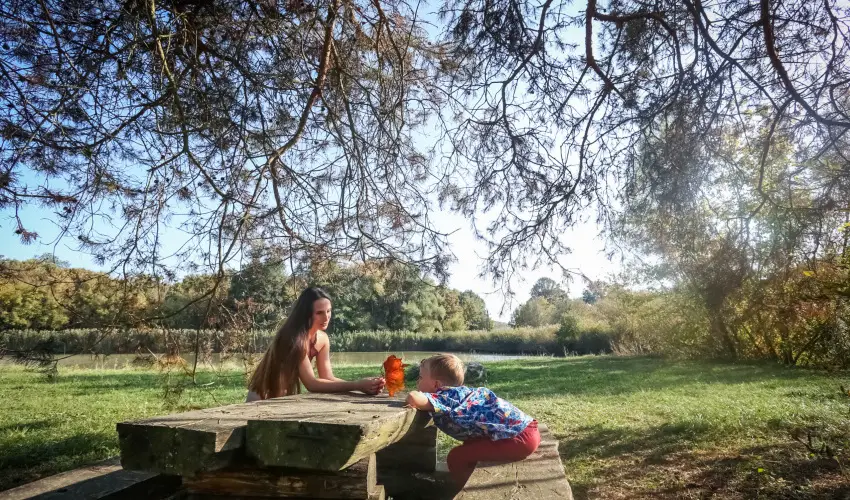 Sasr�ti Vad�szkast�ly Almamell�k - P�nk�sd