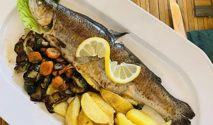 Sasr�ti Vad�szkast�ly Almamell�k - P�nk�sd