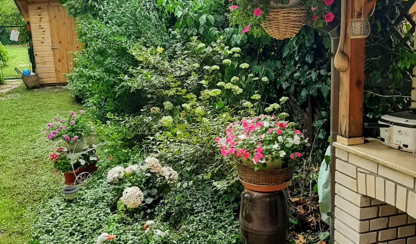 Siesta Vendghz Eger - Pnksd (min. 2 j)