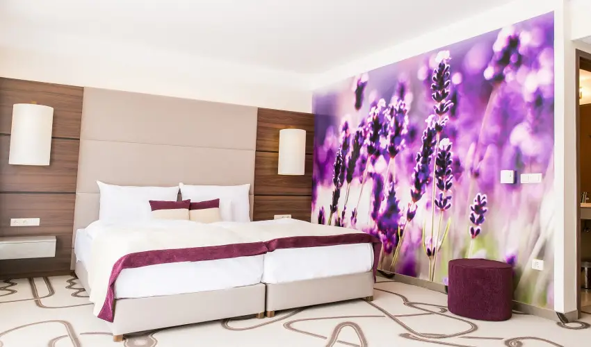 Ambient Hotel & ThermalSPA**** Sikonda - Pnksd (min. 2 j)