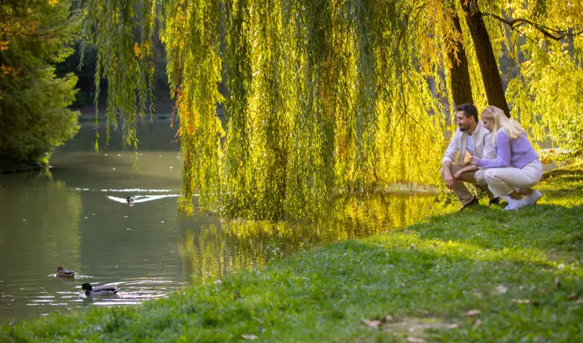 Ambient Hotel & ThermalSPA**** Sikonda - Pnksd (min. 2 j)