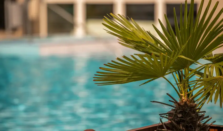 Ambient Hotel & ThermalSPA**** Sikonda - Pnksd (min. 2 j)