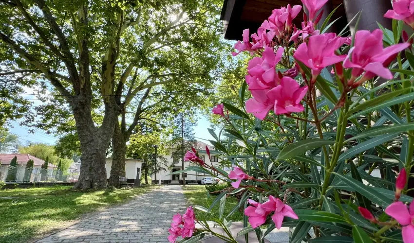 Sirly Hotel Balatonlelle - Pnksd